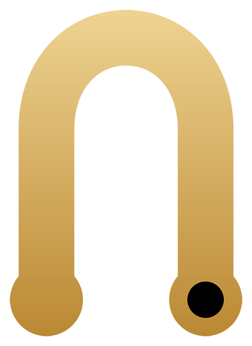 Magnet