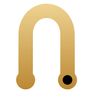 Magnet